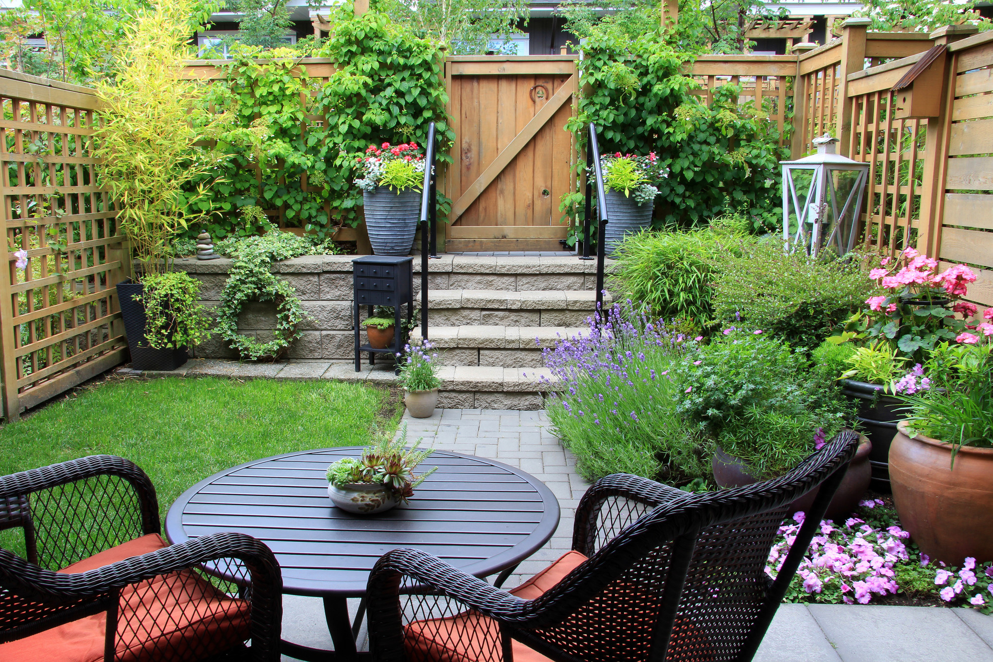 If you have a small budget, it doesn't mean you can't have a beautiful garden. Here are the backyard design ideas to help you achieve your garden goals.