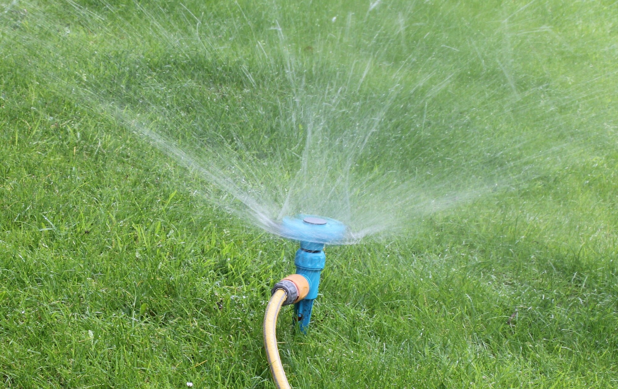 Sprinklers are essential for keeping your lawn looking lush and beautiful. Learn about the different types of sprinkler heads in this guide.