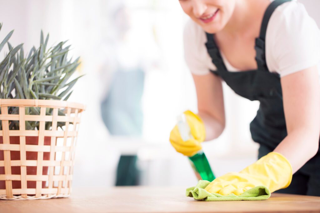 5 Tips for Choosing a Local House Cleaning Company Relative Taste