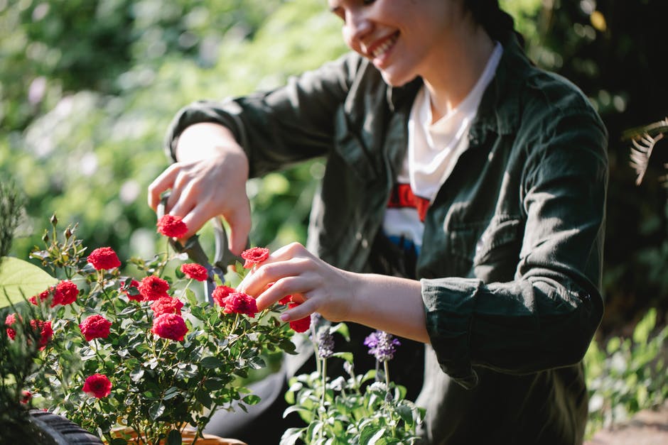 Are you ready to start a garden of your own this year? Click here for five practical tips for growing flowers for beginners that are sure to help you.