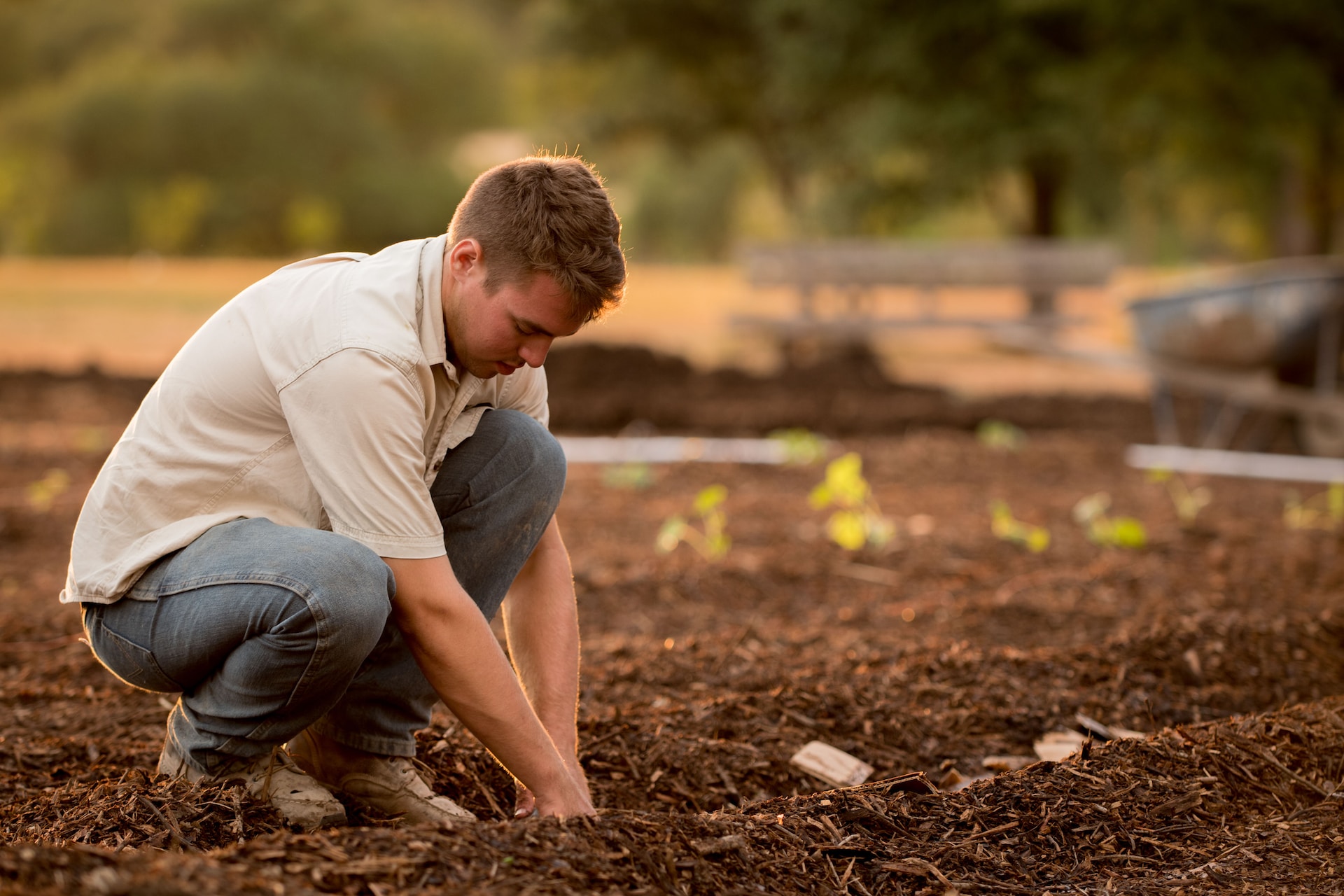 What is Mulching and Its Benefits?